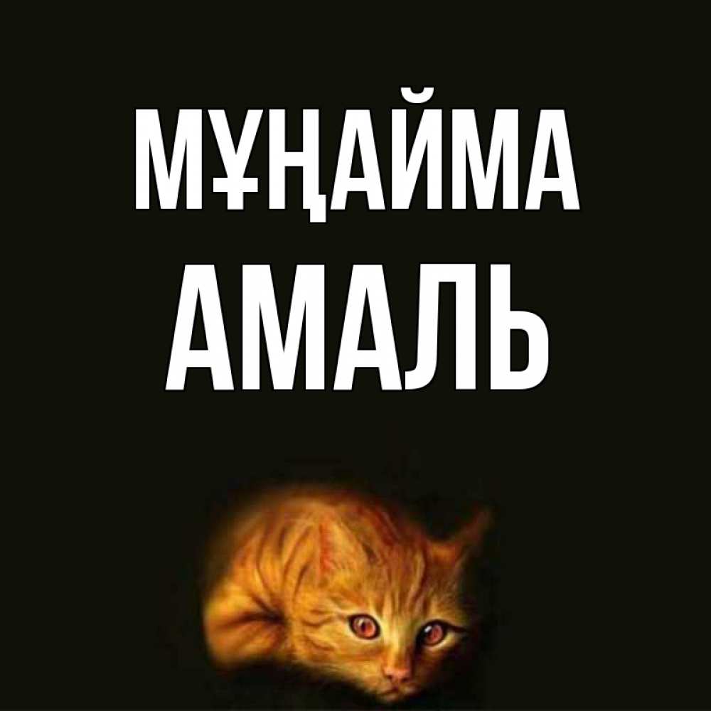 Күн сайын ашық хат с именем, Амаль Мұңайма лежащий кот в темноте Онлайн тегін жүктеп алу тілектері бар керемет карта 