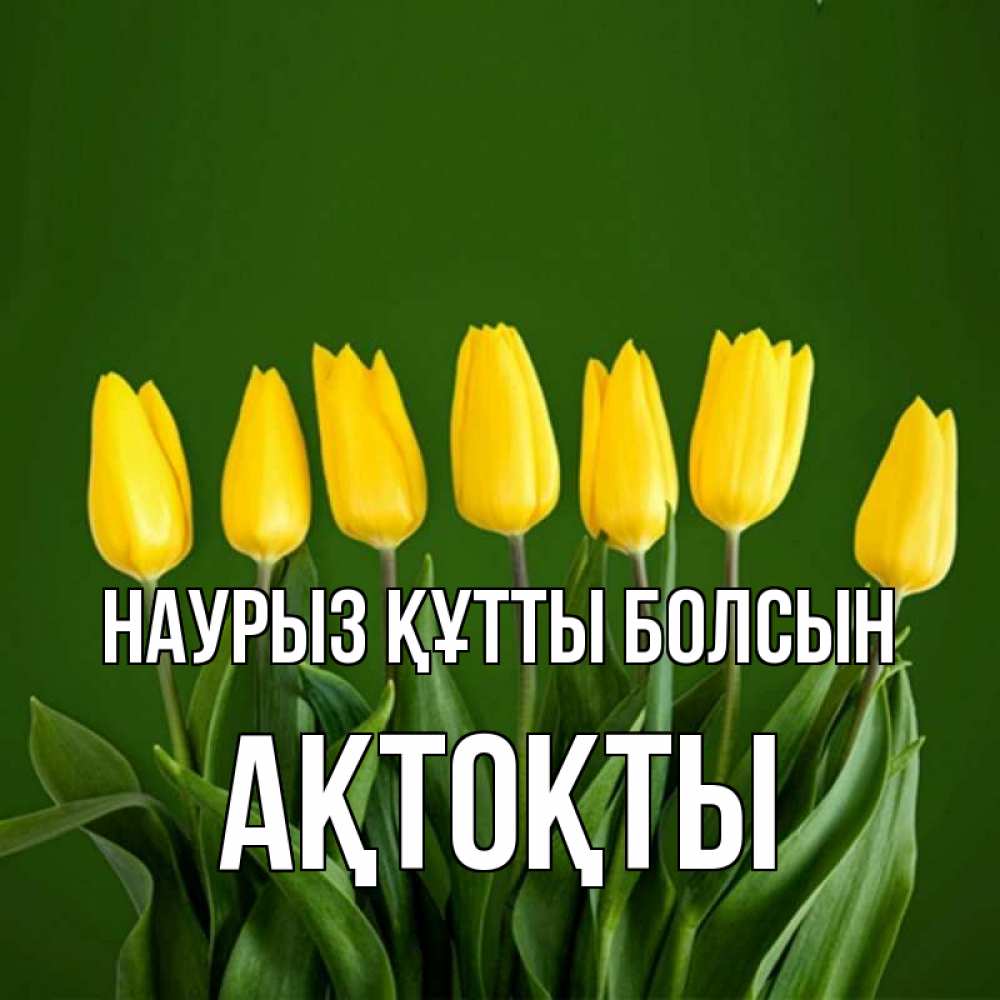 Күн сайын ашық хат с именем, АҚТОҚТЫ Наурыз құтты болсын желтого цвета 3 Онлайн тегін жүктеп алу тілектері бар керемет карта 