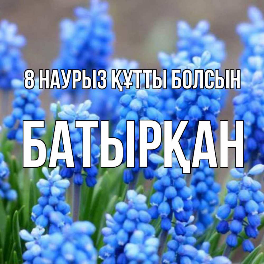 Күн сайын ашық хат с именем, Батырқан 8 наурыз құтты болсын Поздравительная открытка для женщин с цветами на праздничную дату Онлайн тегін жүктеп алу тілектері бар керемет карта 