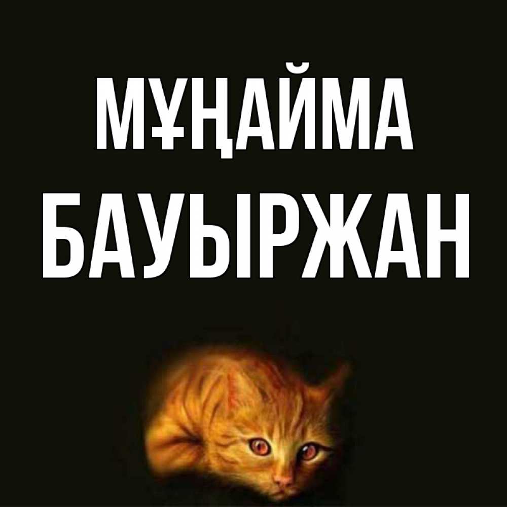 Күн сайын ашық хат с именем, Бауыржан Мұңайма лежащий кот в темноте Онлайн тегін жүктеп алу тілектері бар керемет карта 