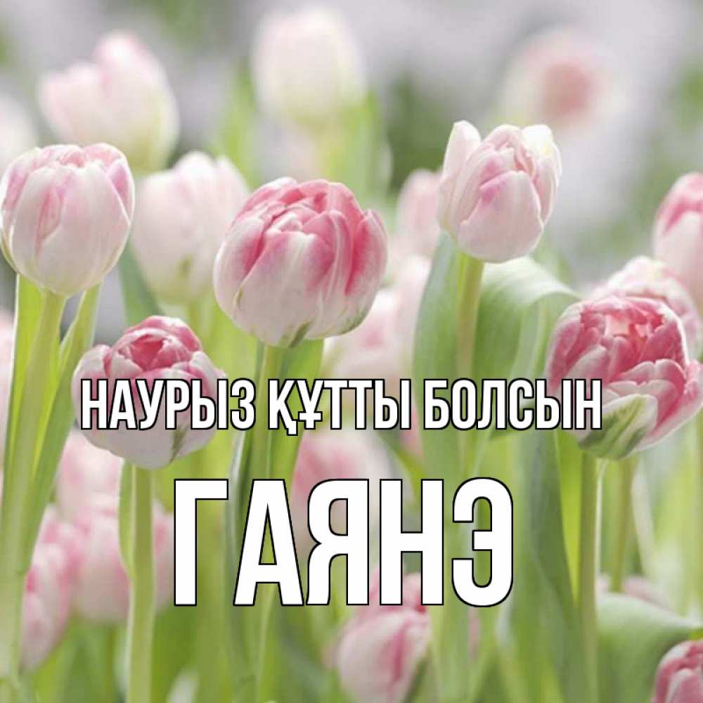 Күн сайын ашық хат с именем, Гаянэ Наурыз құтты болсын цветы Онлайн тегін жүктеп алу тілектері бар керемет карта 