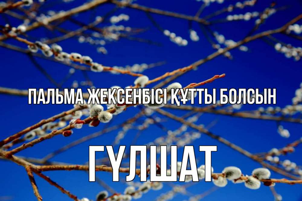 Күн сайын ашық хат с именем, ГҮЛШАТ Пальма жексенбісі құтты болсын верба Онлайн тегін жүктеп алу тілектері бар керемет карта 