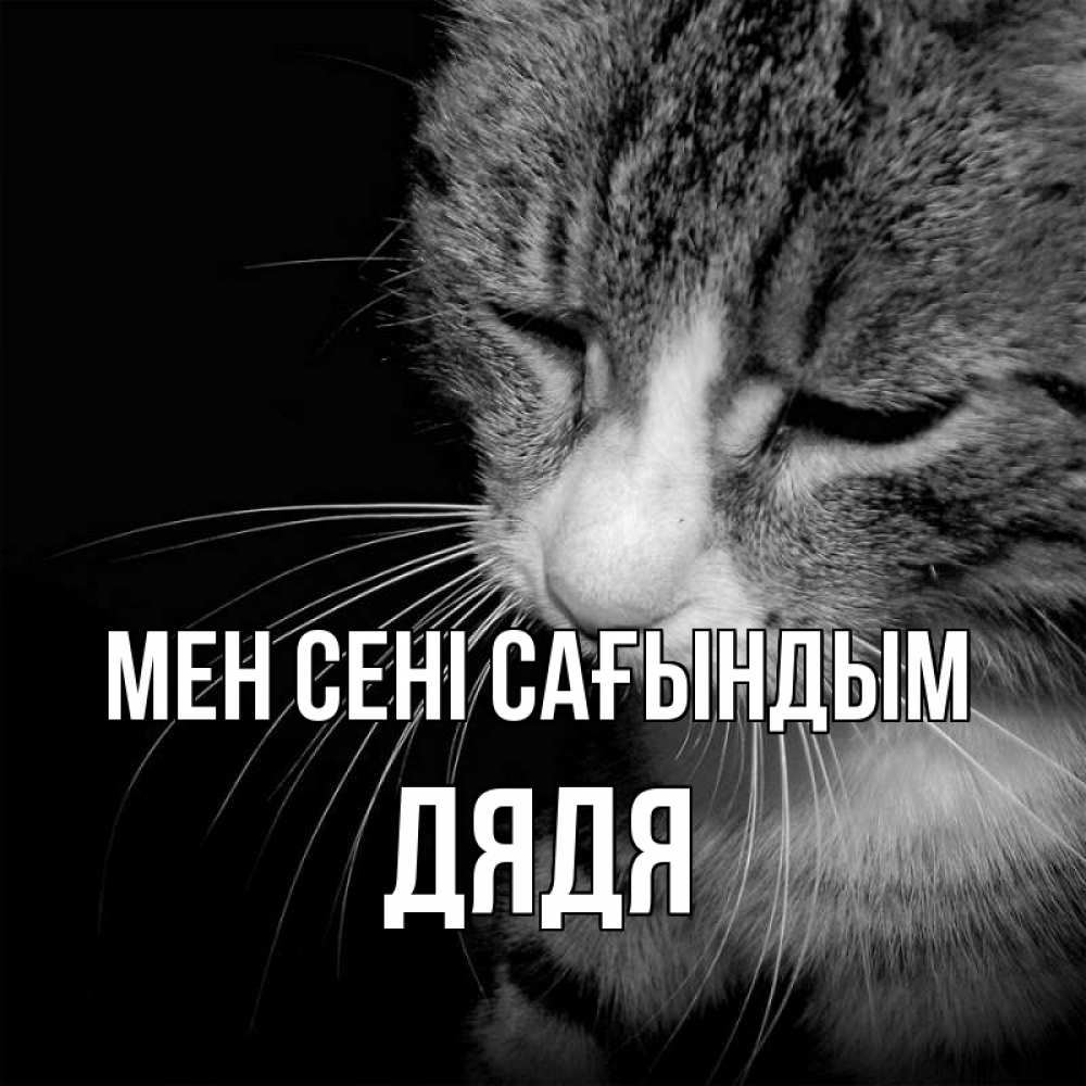 Күн сайын ашық хат с именем, Дядя Мен сені сағындым мне скучно Онлайн тегін жүктеп алу тілектері бар керемет карта 