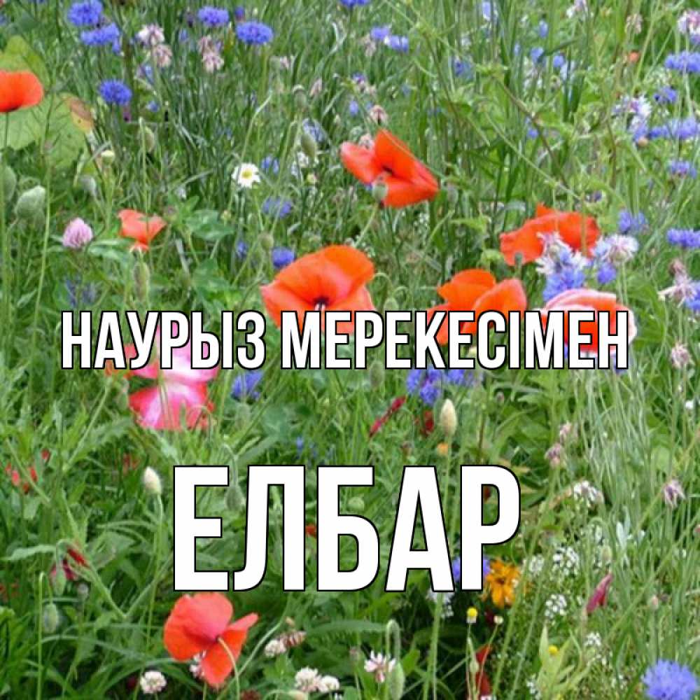 Күн сайын ашық хат с именем, Елбар Наурыз мерекесімен праздник весны наурыз супер открытка Онлайн тегін жүктеп алу тілектері бар керемет карта 