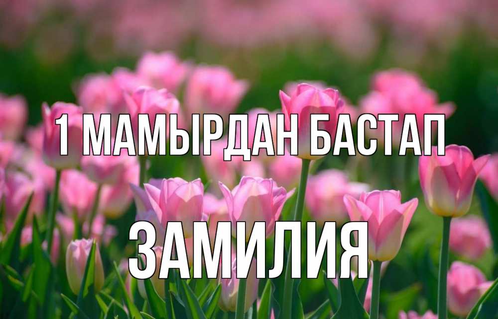 Күн сайын ашық хат с именем, ЗАМИЛИЯ 1 мамырдан бастап С 1 мая Онлайн тегін жүктеп алу тілектері бар керемет карта 