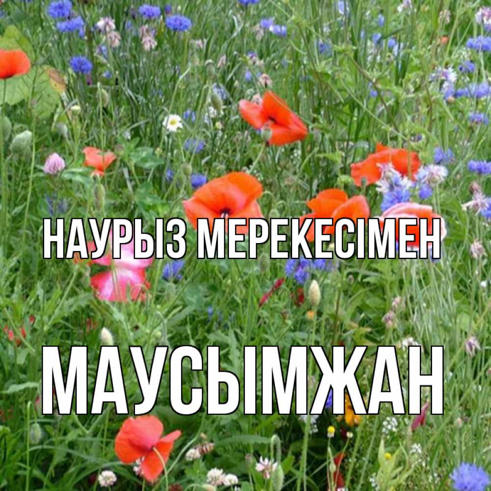 Күн сайын ашық хат с именем, МАУСЫМЖАН Наурыз мерекесімен праздник весны наурыз супер открытка Онлайн тегін жүктеп алу тілектері бар керемет карта 