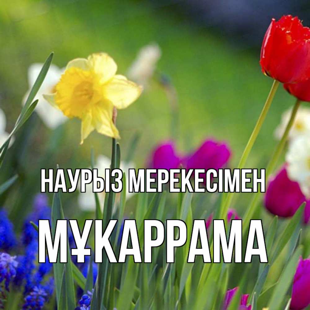 Күн сайын ашық хат с именем, МҰКАРРАМА Наурыз мерекесімен праздник весны наурыз 3 Онлайн тегін жүктеп алу тілектері бар керемет карта 