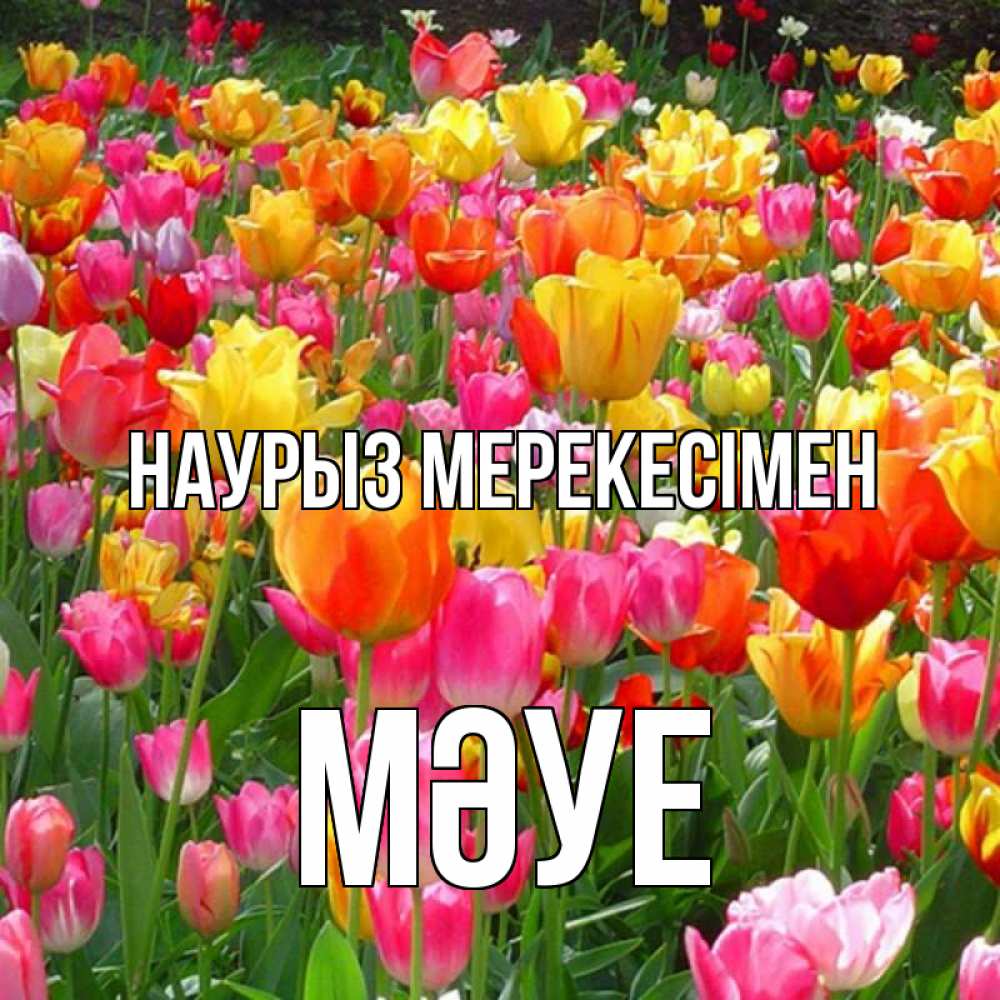 Күн сайын ашық хат с именем, МӘУЕ Наурыз мерекесімен праздник весны наурыз 4 Онлайн тегін жүктеп алу тілектері бар керемет карта 