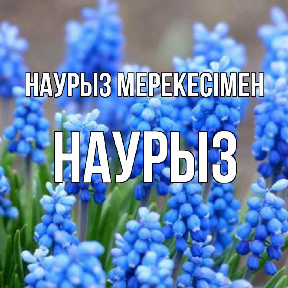 Күн сайын ашық хат с именем, НАУРЫЗ Наурыз мерекесімен Поздравительная открытка для женщин с цветами на праздничную дату Онлайн тегін жүктеп алу тілектері бар керемет карта 