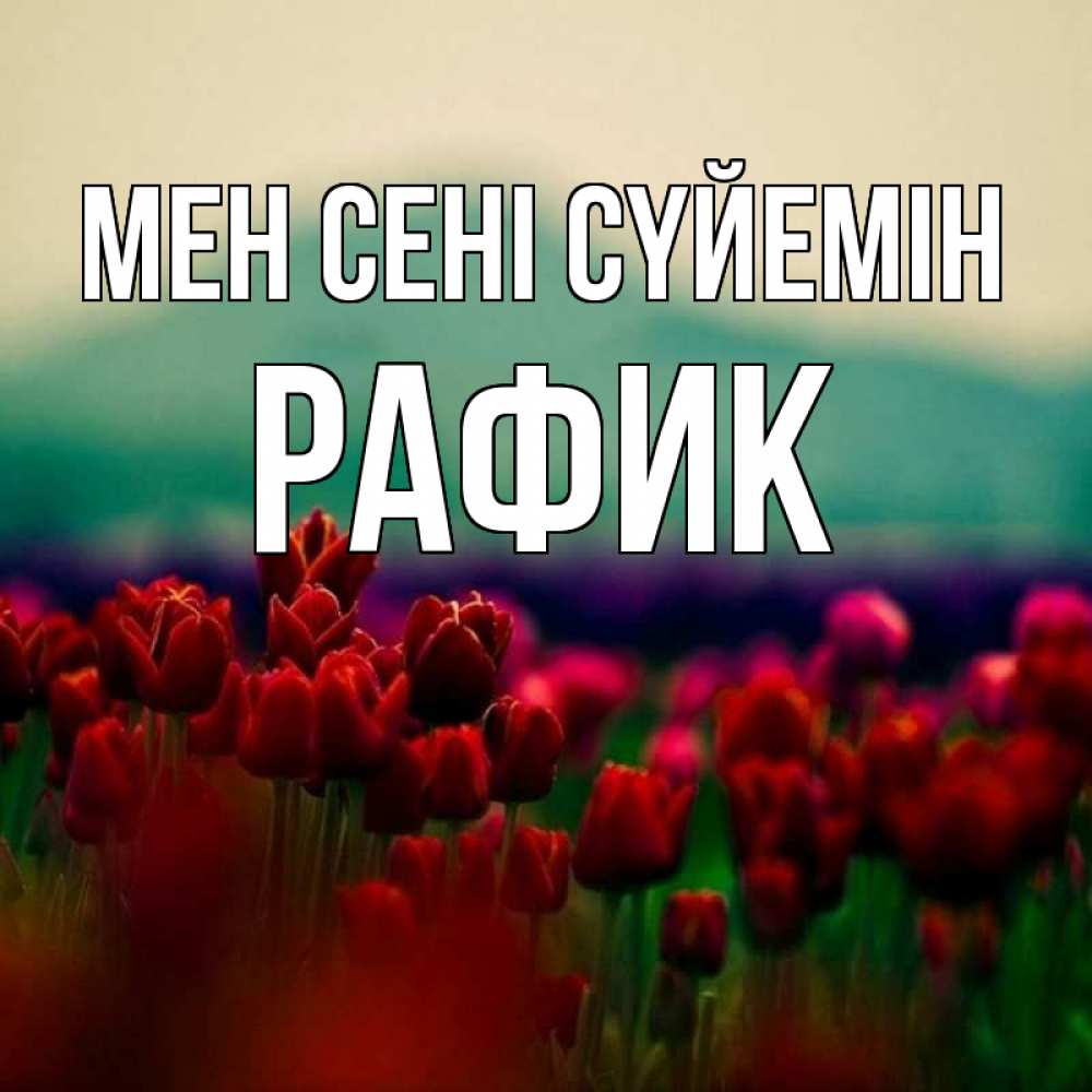 Күн сайын ашық хат с именем, РАФИК Мен сені сүйемін тюльпаны 4 Онлайн тегін жүктеп алу тілектері бар керемет карта 