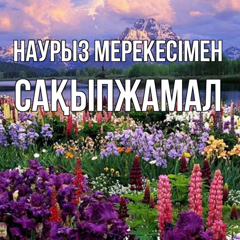 Күн сайын ашық хат с именем, САҚЫПЖАМАЛ Наурыз мерекесімен праздник весны наурыз Онлайн тегін жүктеп алу тілектері бар керемет карта 