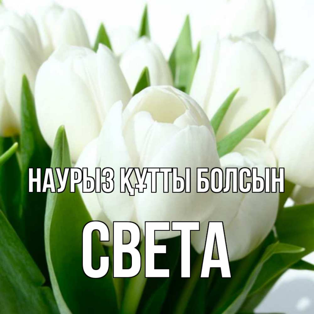 Күн сайын ашық хат с именем, Света Наурыз құтты болсын цветы Онлайн тегін жүктеп алу тілектері бар керемет карта 
