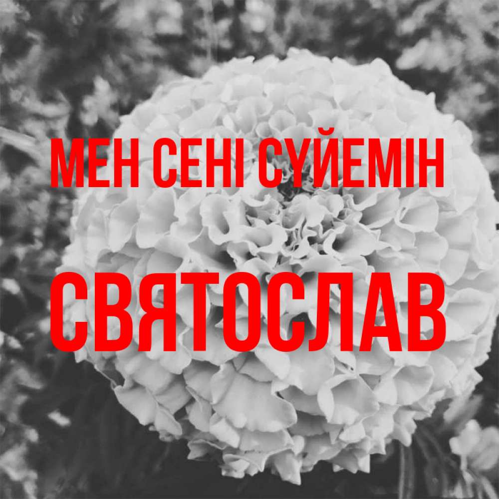 Күн сайын ашық хат с именем, Святослав Мен сені сүйемін подпись Онлайн тегін жүктеп алу тілектері бар керемет карта 