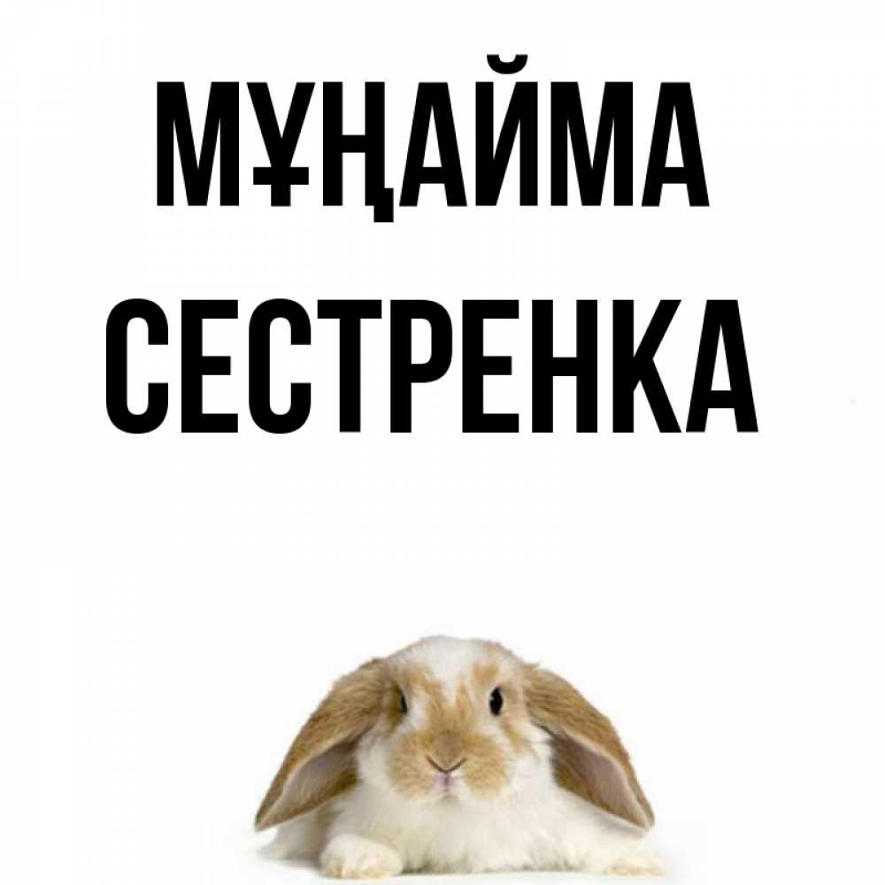 Күн сайын ашық хат с именем, Сестренка Мұңайма коричнево белый заяц с большими ушками Онлайн тегін жүктеп алу тілектері бар керемет карта 