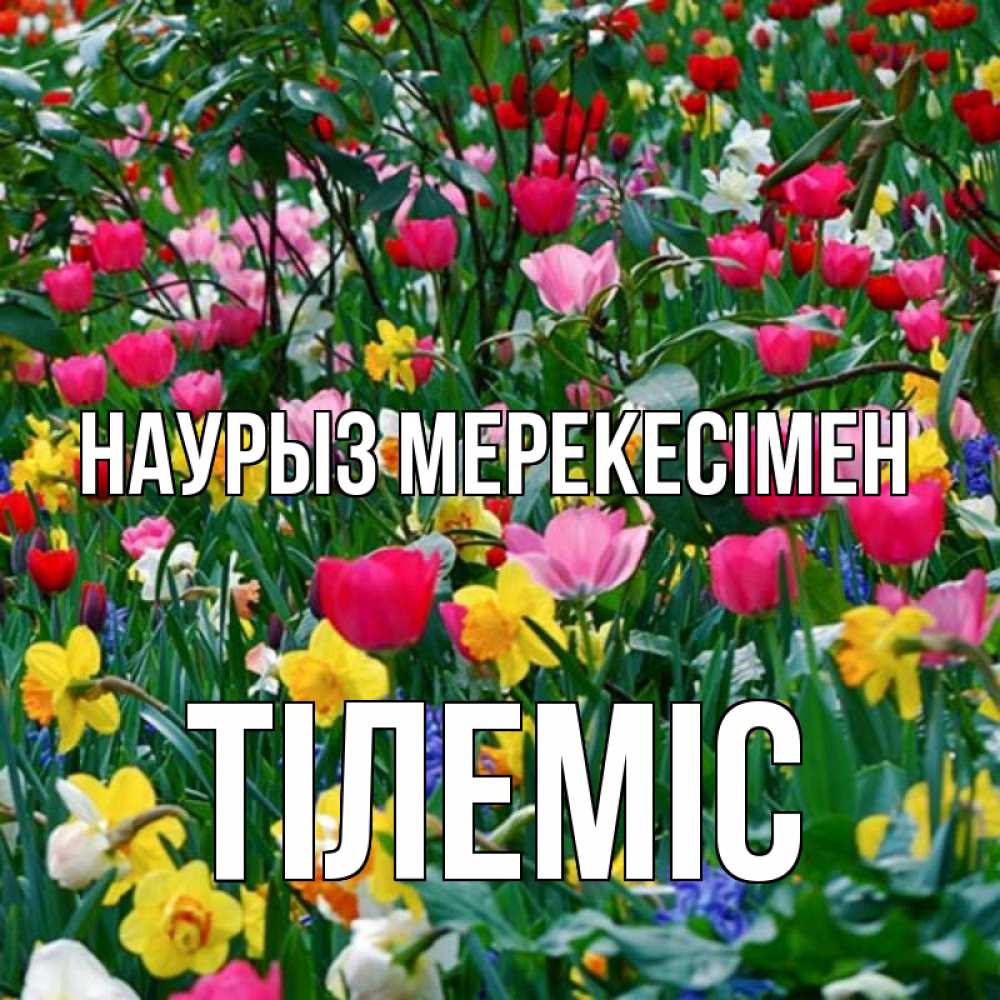 Күн сайын ашық хат с именем, ТІЛЕМІС Наурыз мерекесімен с наурызом праздником весны поздравления для женщины Онлайн тегін жүктеп алу тілектері бар керемет карта 