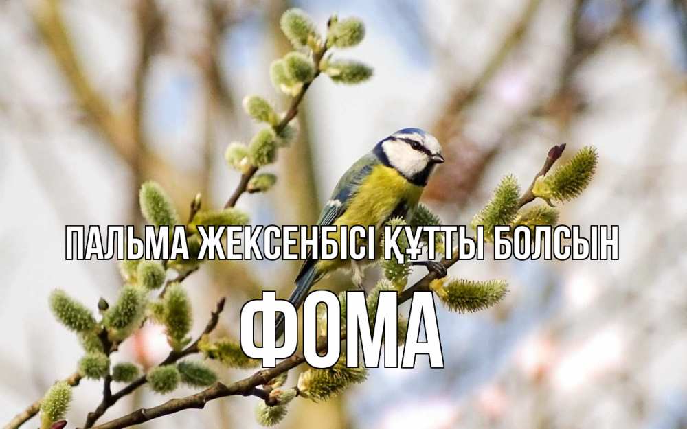Күн сайын ашық хат с именем, Фома Пальма жексенбісі құтты болсын верба Онлайн тегін жүктеп алу тілектері бар керемет карта 
