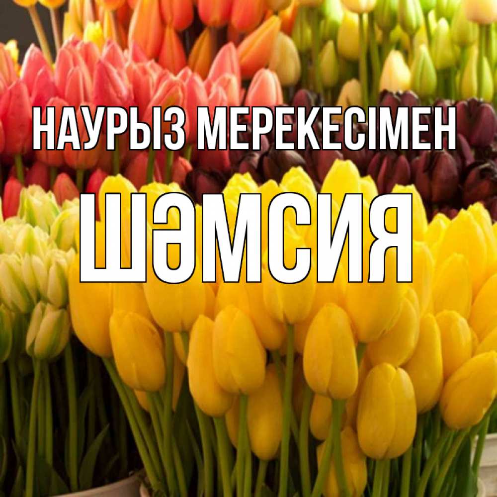 Күн сайын ашық хат с именем, ШӘМСИЯ Наурыз мерекесімен цветы Онлайн тегін жүктеп алу тілектері бар керемет карта 