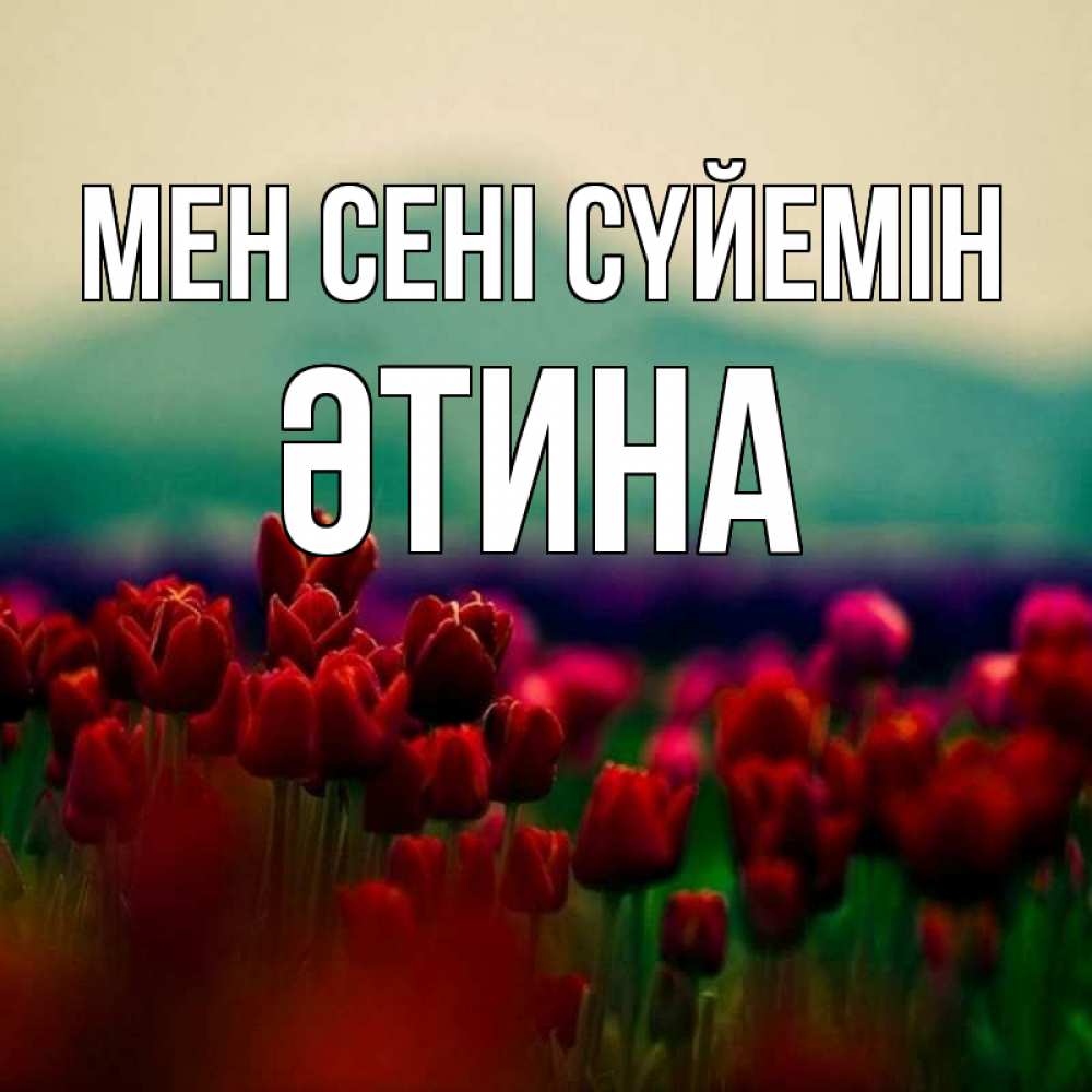 Күн сайын ашық хат с именем, ӘТИНА Мен сені сүйемін тюльпаны 4 Онлайн тегін жүктеп алу тілектері бар керемет карта 