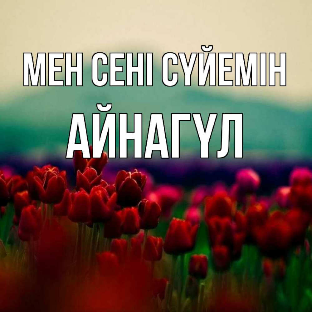Күн сайын ашық хат с именем, АЙНАГҮЛ Мен сені сүйемін тюльпаны 4 Онлайн тегін жүктеп алу тілектері бар керемет карта 