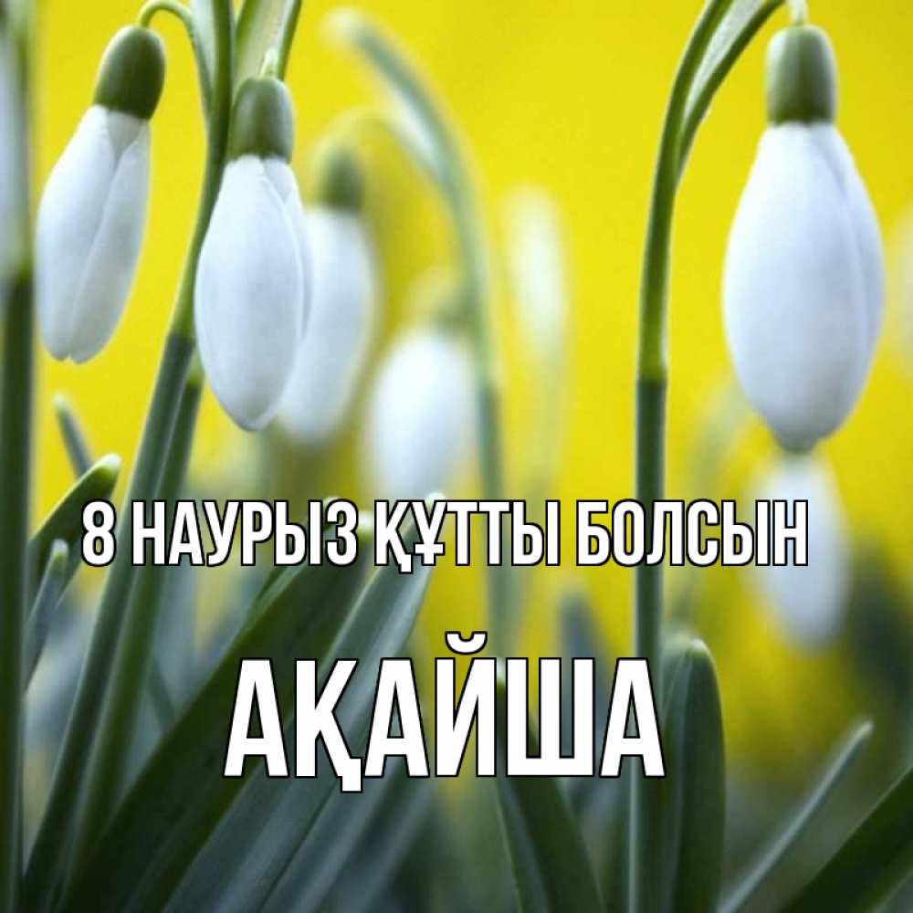 Күн сайын ашық хат с именем, АҚАЙША 8 наурыз құтты болсын весенние цветы Онлайн тегін жүктеп алу тілектері бар керемет карта 