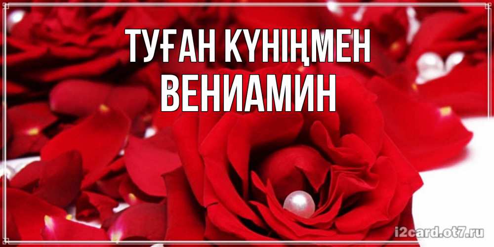 Күн сайын ашық хат с именем, Вениамин Туған күніңмен роза с жемчужиной на открытке для любимых Онлайн тегін жүктеп алу тілектері бар керемет карта 