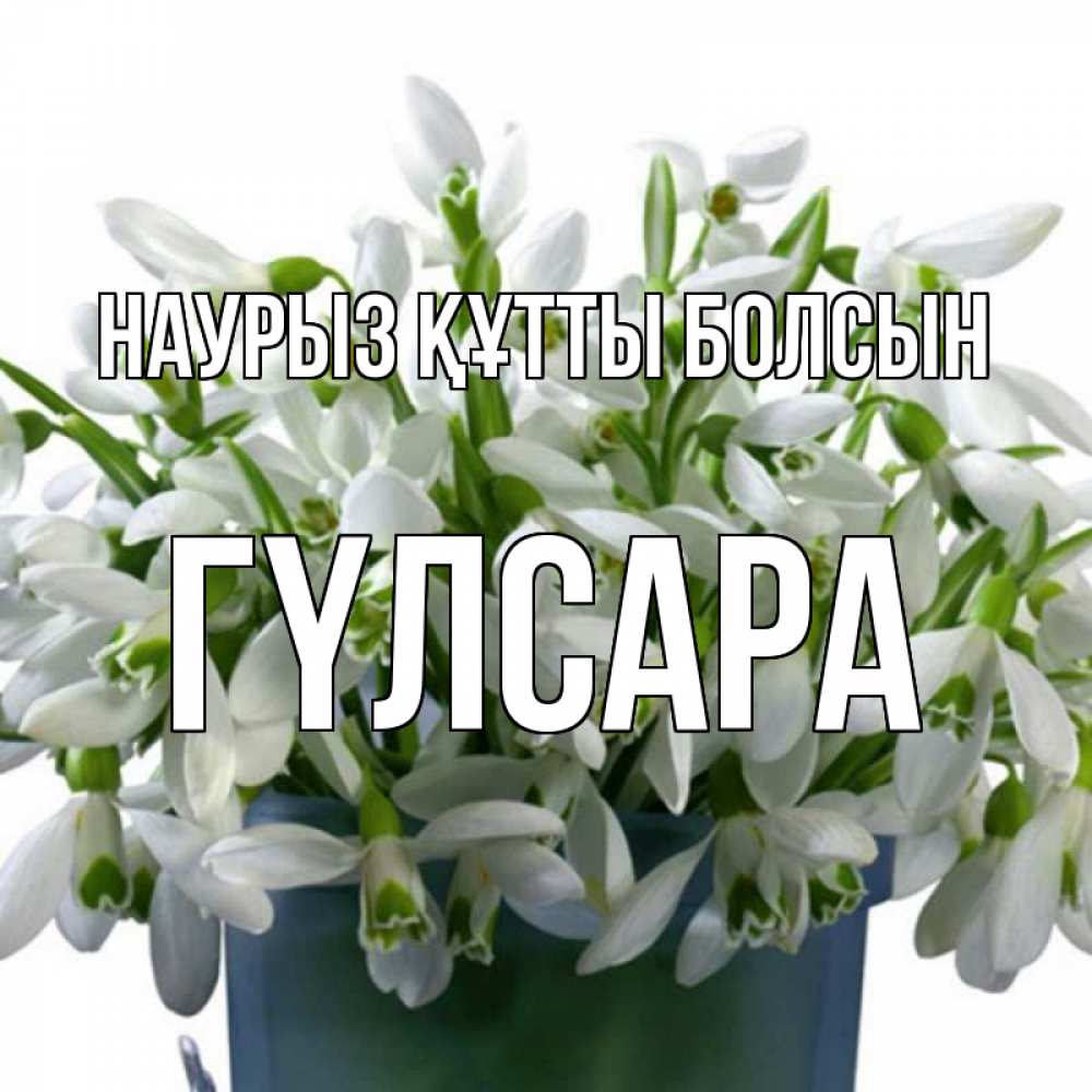 Күн сайын ашық хат с именем, ГҮЛСАРА Наурыз құтты болсын цветы к наурызу Онлайн тегін жүктеп алу тілектері бар керемет карта 