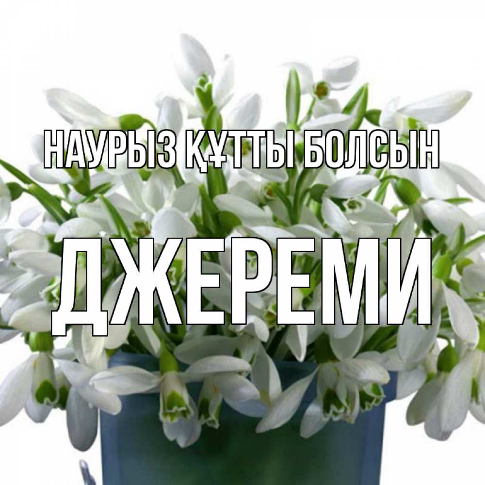 Күн сайын ашық хат с именем, Джереми Наурыз құтты болсын цветы к наурызу Онлайн тегін жүктеп алу тілектері бар керемет карта 