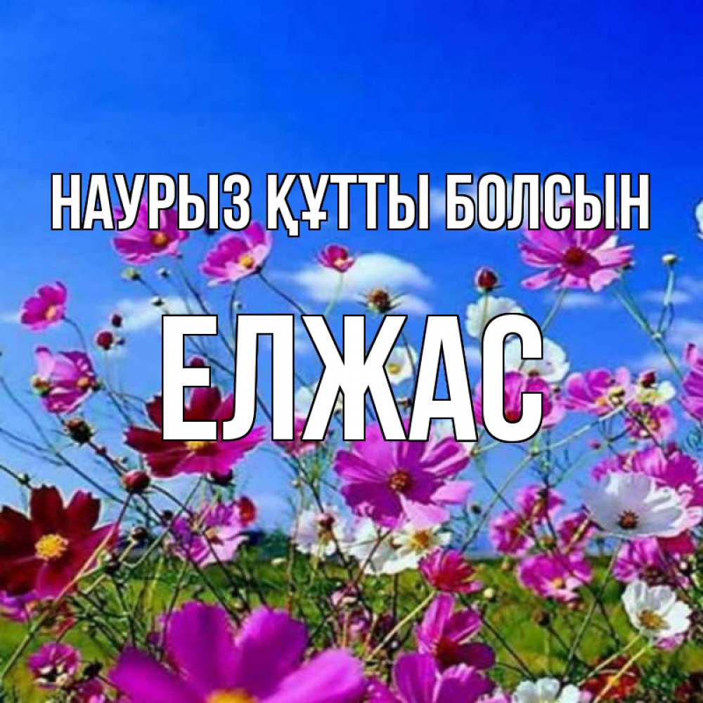Күн сайын ашық хат с именем, Елжас Наурыз құтты болсын цветы Онлайн тегін жүктеп алу тілектері бар керемет карта 