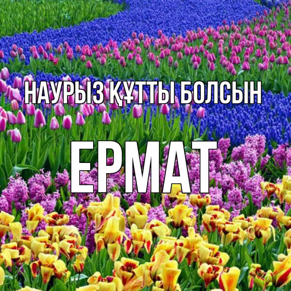 Күн сайын ашық хат с именем, Ермат Наурыз құтты болсын цветы Онлайн тегін жүктеп алу тілектері бар керемет карта 