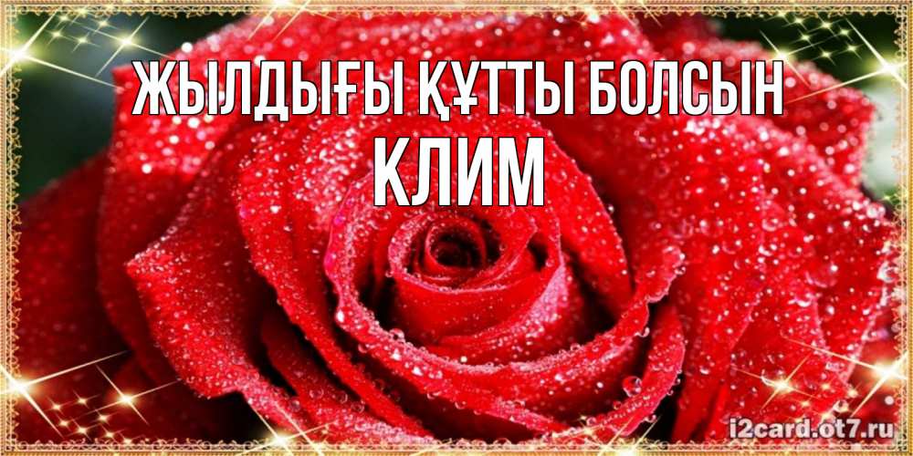 Күн сайын ашық хат с именем, Клим Жылдығы құтты болсын роса и роза. открытка с красивой розой Онлайн тегін жүктеп алу тілектері бар керемет карта 