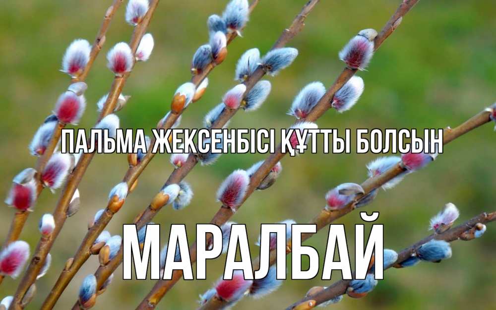Күн сайын ашық хат с именем, МАРАЛБАЙ Пальма жексенбісі құтты болсын верба Онлайн тегін жүктеп алу тілектері бар керемет карта 