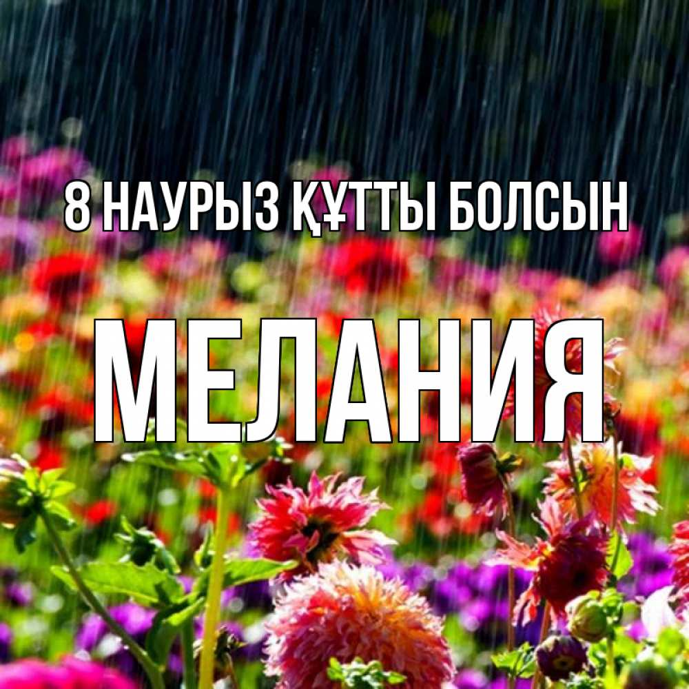 Күн сайын ашық хат с именем, Мелания 8 наурыз құтты болсын цветы под дождиком к международному женскому дню Онлайн тегін жүктеп алу тілектері бар керемет карта 