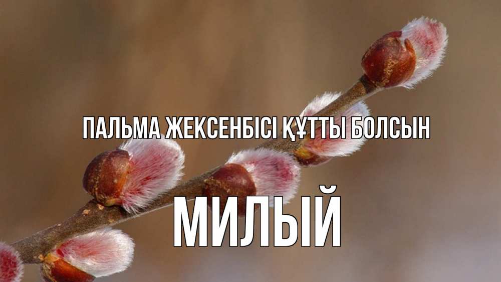 Күн сайын ашық хат с именем, Милый Пальма жексенбісі құтты болсын верба Онлайн тегін жүктеп алу тілектері бар керемет карта 