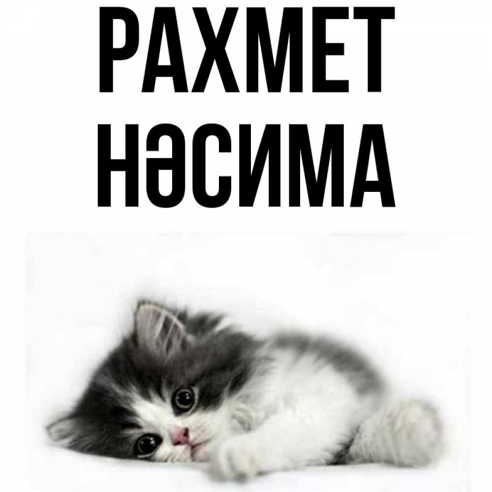 Күн сайын ашық хат с именем, НӘСИМА рахмет черный и белый кот Онлайн тегін жүктеп алу тілектері бар керемет карта 