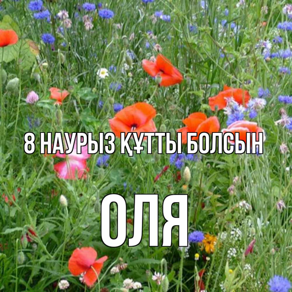 Күн сайын ашық хат с именем, Оля 8 наурыз құтты болсын международный женский день 4 Онлайн тегін жүктеп алу тілектері бар керемет карта 