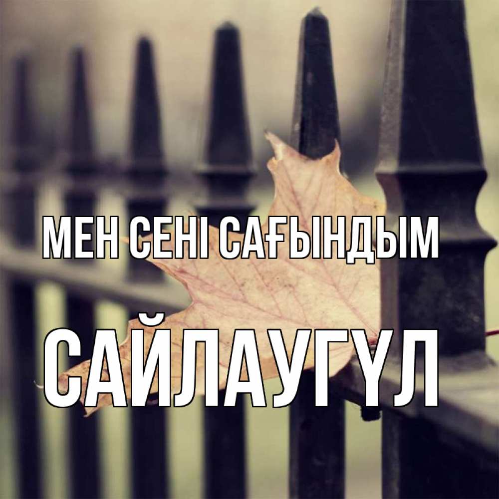 Күн сайын ашық хат с именем, САЙЛАУГҮЛ Мен сені сағындым очень скучно Онлайн тегін жүктеп алу тілектері бар керемет карта 