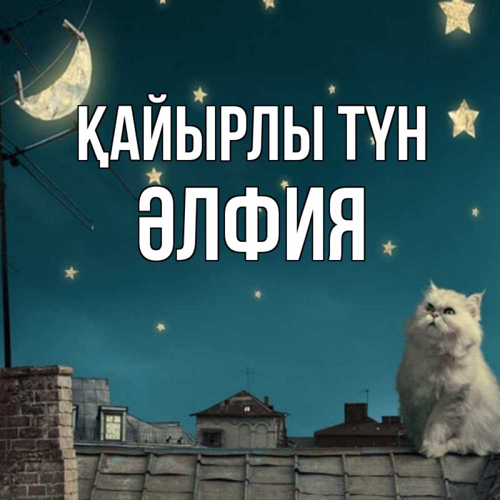 Күн сайын ашық хат с именем, ӘЛФИЯ Қайырлы түн белый кот сидит на крыше Онлайн тегін жүктеп алу тілектері бар керемет карта 