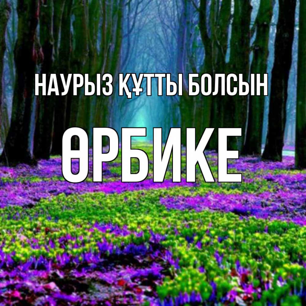 Күн сайын ашық хат с именем, ӨРБИКЕ Наурыз құтты болсын фиолетовые цветы в лесу 1 Онлайн тегін жүктеп алу тілектері бар керемет карта 