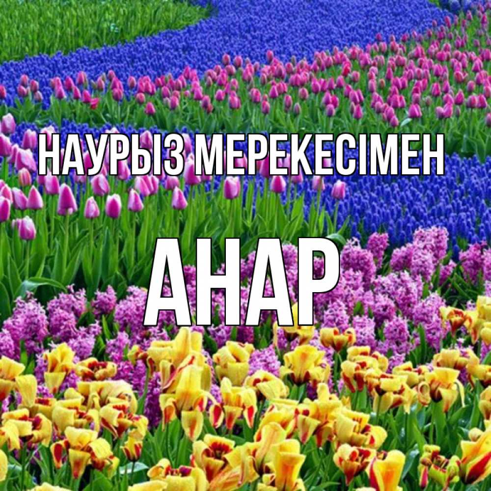 Күн сайын ашық хат с именем, АНАР Наурыз мерекесімен цветы Онлайн тегін жүктеп алу тілектері бар керемет карта 