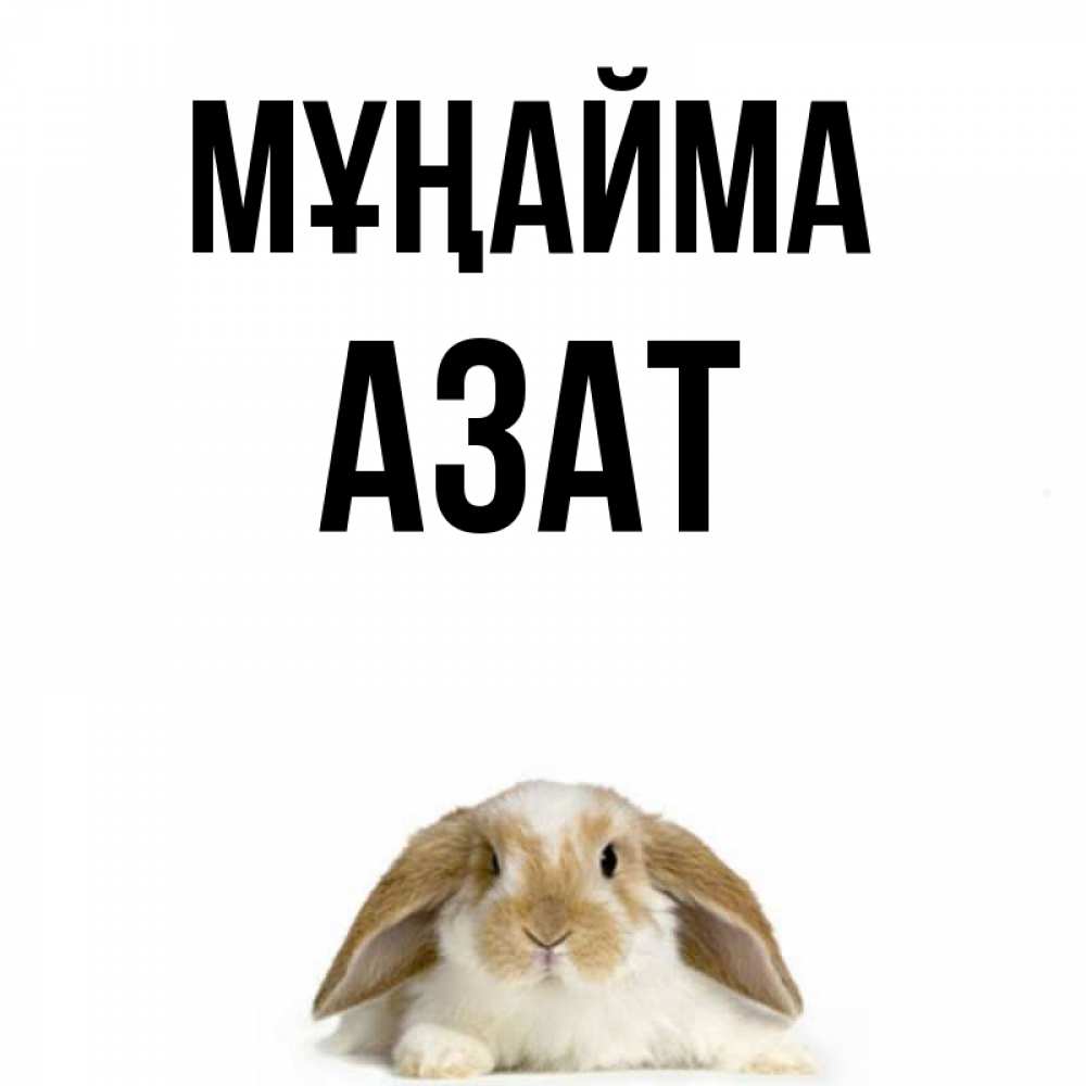 Күн сайын ашық хат с именем, Азат Мұңайма коричнево белый заяц с большими ушками Онлайн тегін жүктеп алу тілектері бар керемет карта 