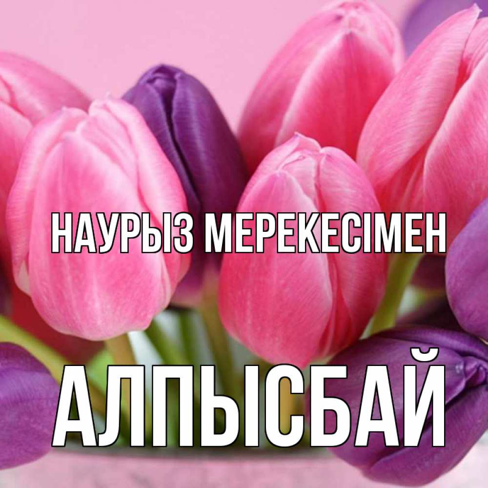 Күн сайын ашық хат с именем, Алпысбай Наурыз мерекесімен маме 1 Онлайн тегін жүктеп алу тілектері бар керемет карта 