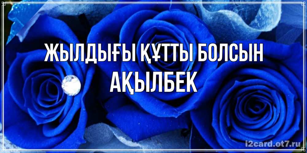 Күн сайын ашық хат с именем, Ақылбек Жылдығы құтты болсын синие розы в росе Онлайн тегін жүктеп алу тілектері бар керемет карта 