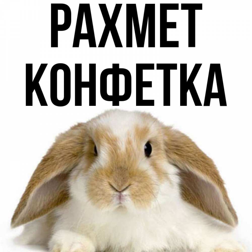Күн сайын ашық хат с именем, Конфетка рахмет коричнево белый заяц Онлайн тегін жүктеп алу тілектері бар керемет карта 