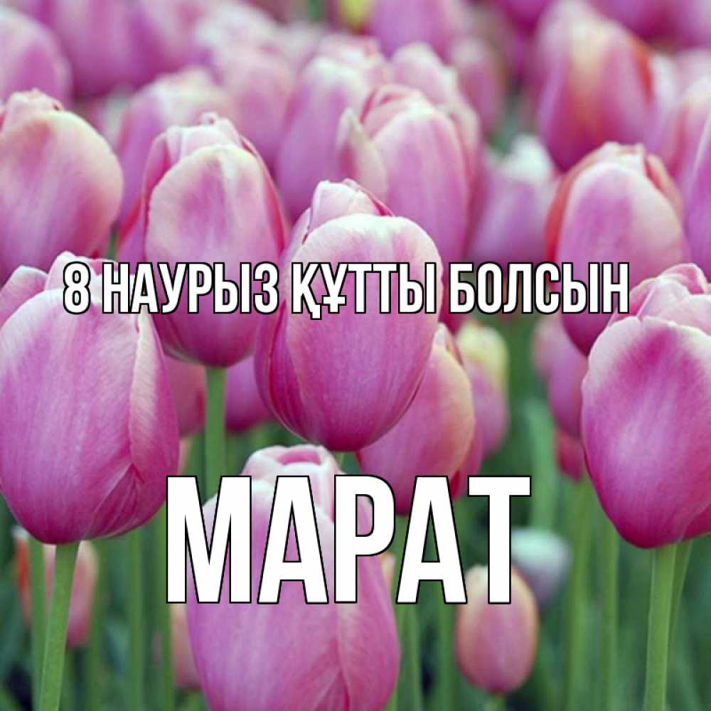 Күн сайын ашық хат с именем, МАРАТ 8 наурыз құтты болсын на международный женский день 3 Онлайн тегін жүктеп алу тілектері бар керемет карта 