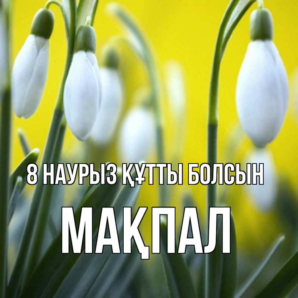 Күн сайын ашық хат с именем, МАҚПАЛ 8 наурыз құтты болсын весенние цветы Онлайн тегін жүктеп алу тілектері бар керемет карта 