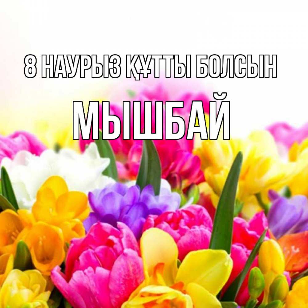 Күн сайын ашық хат с именем, МЫШБАЙ 8 наурыз құтты болсын тюльпаны Онлайн тегін жүктеп алу тілектері бар керемет карта 