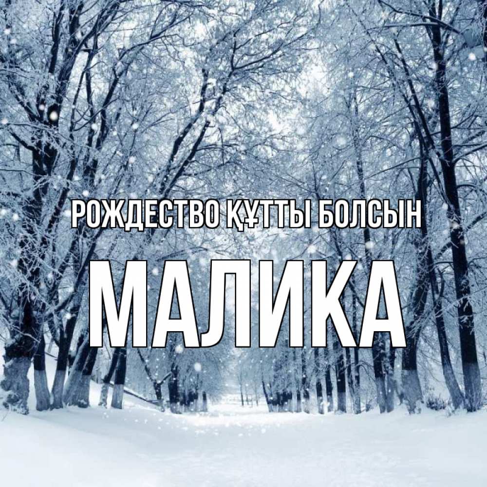 Күн сайын ашық хат с именем, Малика Рождество құтты болсын снег, лес, парк Онлайн тегін жүктеп алу тілектері бар керемет карта 
