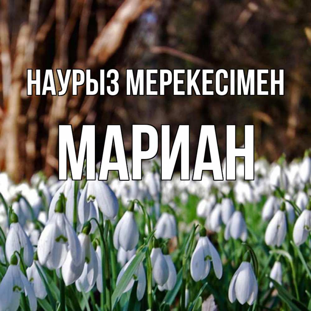 Күн сайын ашық хат с именем, Мариан Наурыз мерекесімен с подснежниками 1 Онлайн тегін жүктеп алу тілектері бар керемет карта 