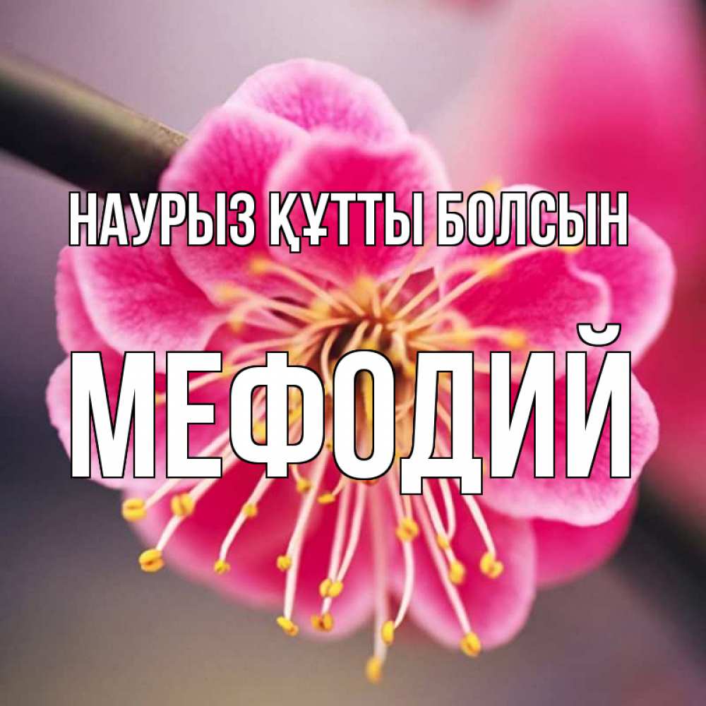 Күн сайын ашық хат с именем, Мефодий Наурыз құтты болсын цветы Онлайн тегін жүктеп алу тілектері бар керемет карта 