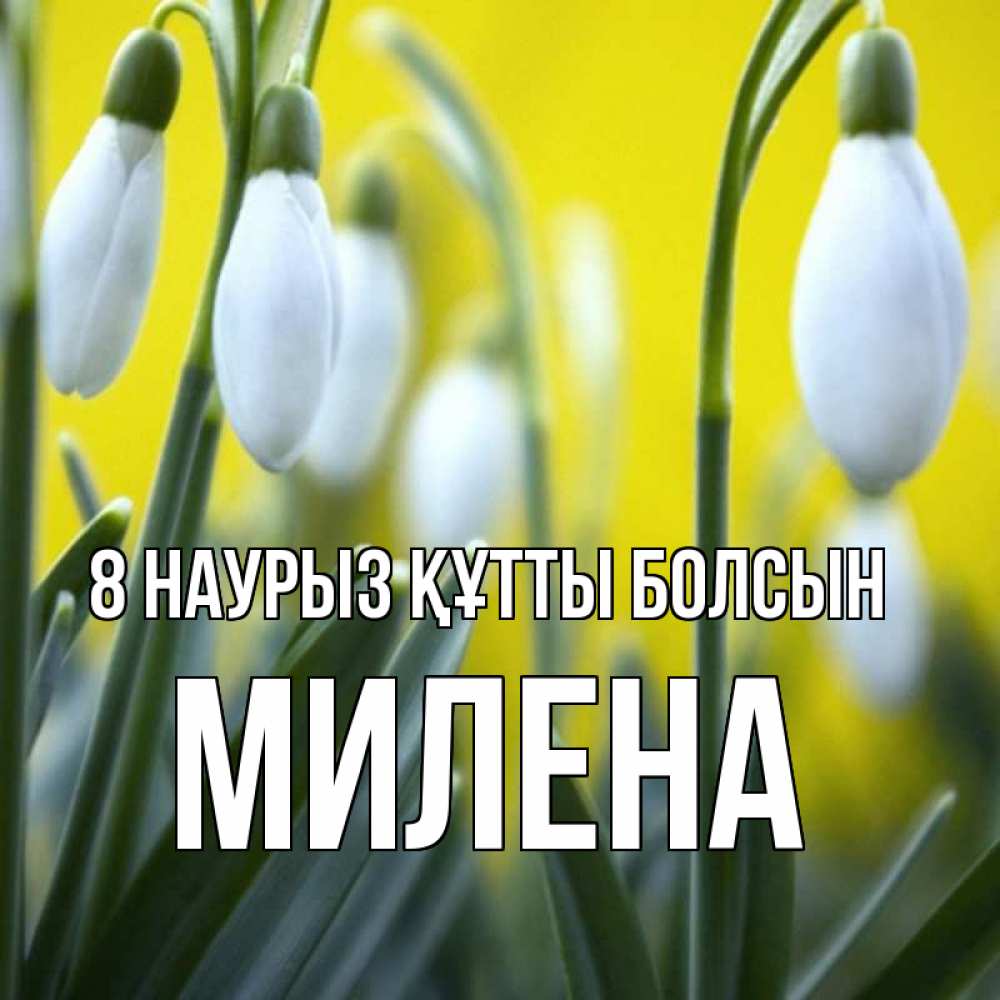 Күн сайын ашық хат с именем, Милена 8 наурыз құтты болсын весенние цветы Онлайн тегін жүктеп алу тілектері бар керемет карта 